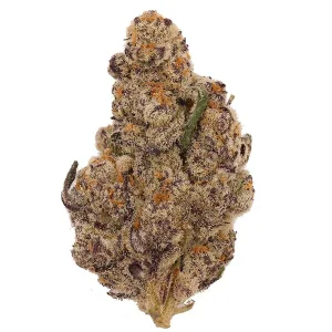 Blue Moon THCA Flower El Chivo Indica 3.5g