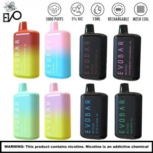 EVOBAR BC5000 5% NIC DISPOSABLE VAPE ( STRAWBERRY PINA COLADA )