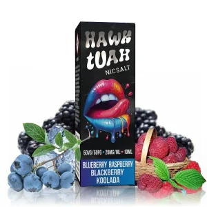 Hawk Tuah Salt - Blueberry Raspberry Blackberry Koolada - 10ml - 20mg Chladivá směs lesních plodů