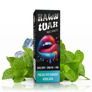 Hawk Tuah Salt - Fresh Spearmint Koolada - 10ml - 20mg Výrazná chladivá máta