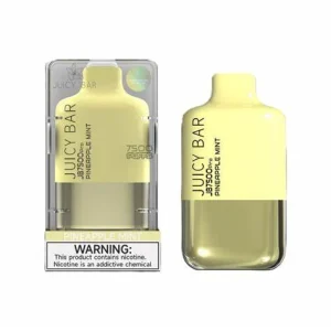 JUICY BAR 7500 PUFFS 5% (Pineapple Mint)