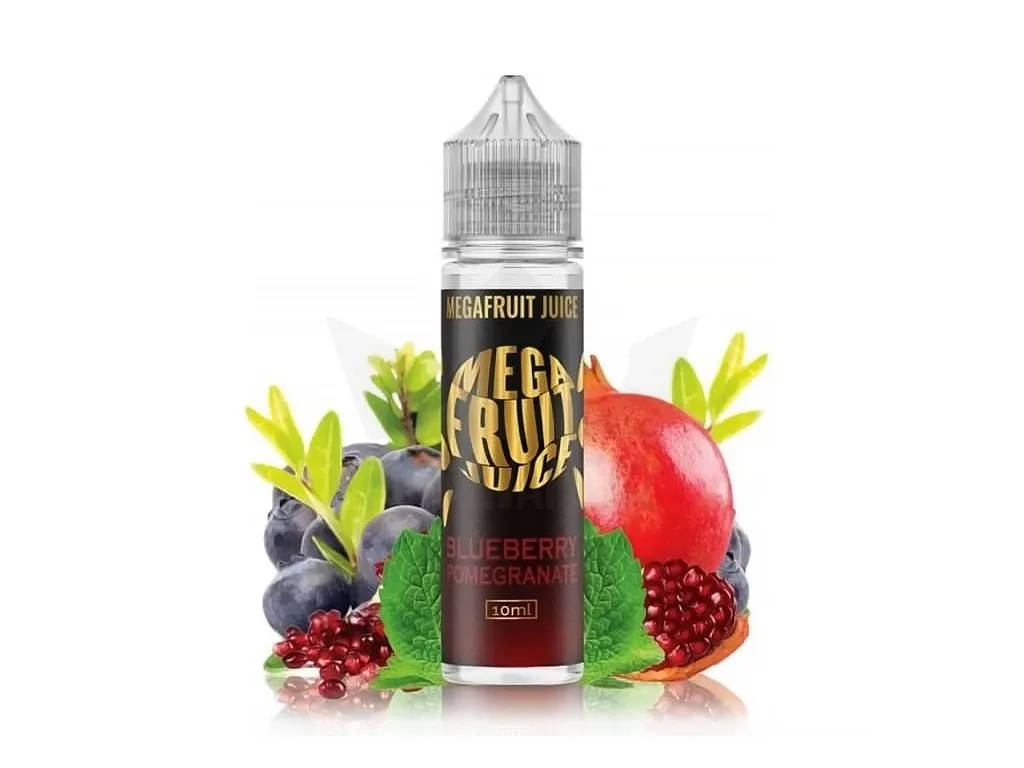 Megafruit Juice - S&V - Blueberry Pomegranade (Granátové jablko s borůvkami)
