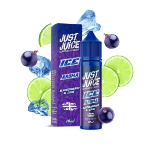 Příchuť Just Juice S&V ICE Blackcurrant & Lime (Ledový černý rybíz & limetka) objem 10ml