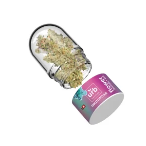 Urb THCO Caviar Flower Bubble Punch